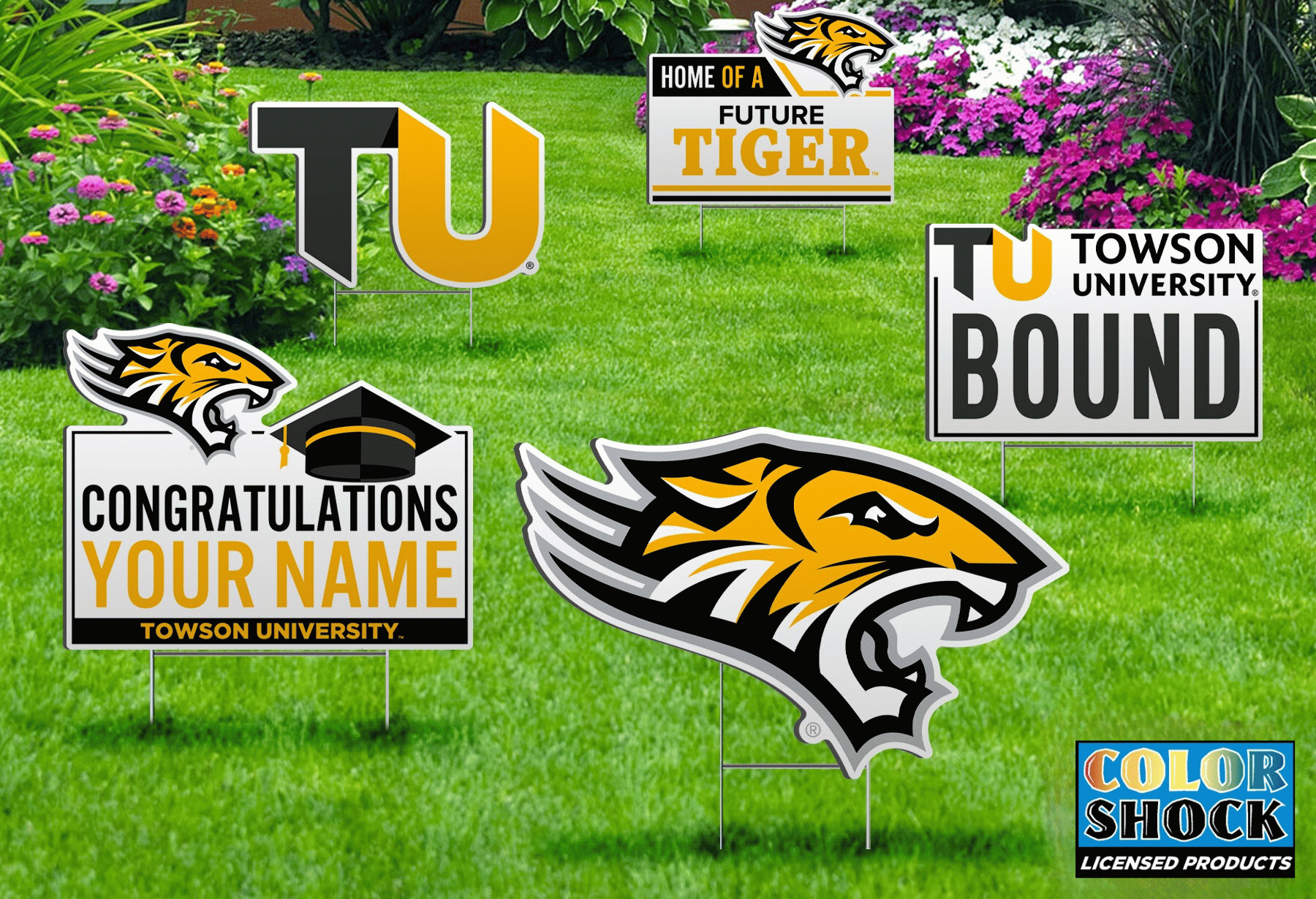 Custom Signs